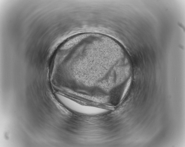 X0000098161507200805081052