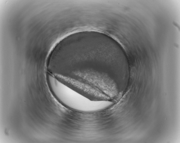 X0000098161508200805081052