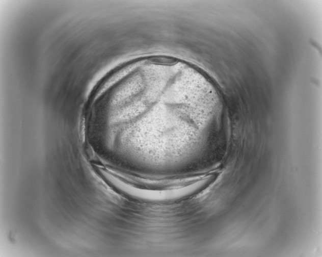 X0000098161510200805081052