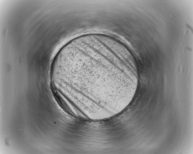 X0000098161512200805081052