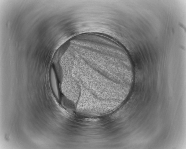 X0000098161513200805081052