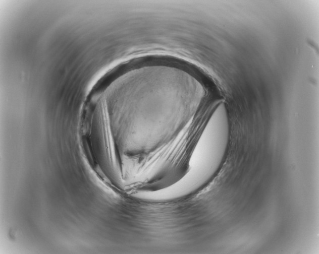 X0000098161518200805081052