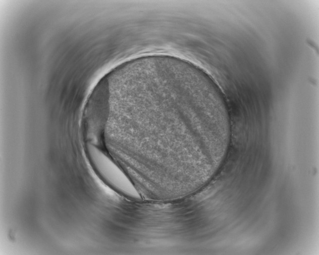 X0000098161519200805081052