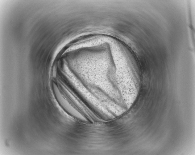X0000098161520200805081052