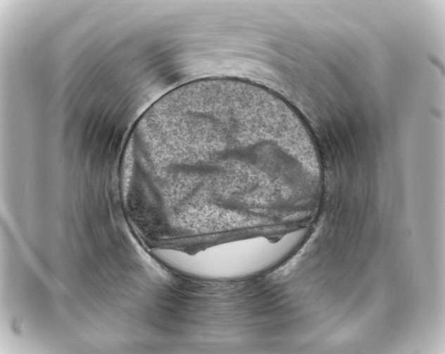 X0000098161521200805081052