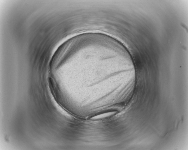X0000098161526200805081052