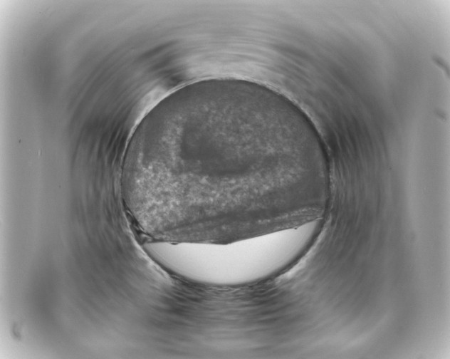 X0000098161529200805081052