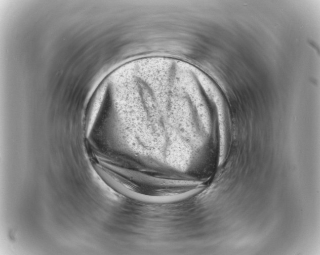 X0000098161532200805081053