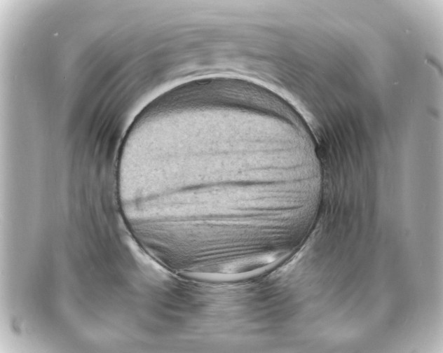 X0000098161534200805081053