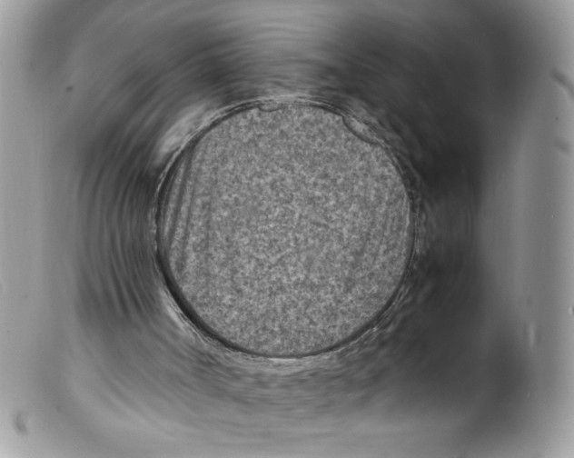X0000098160002200805151240