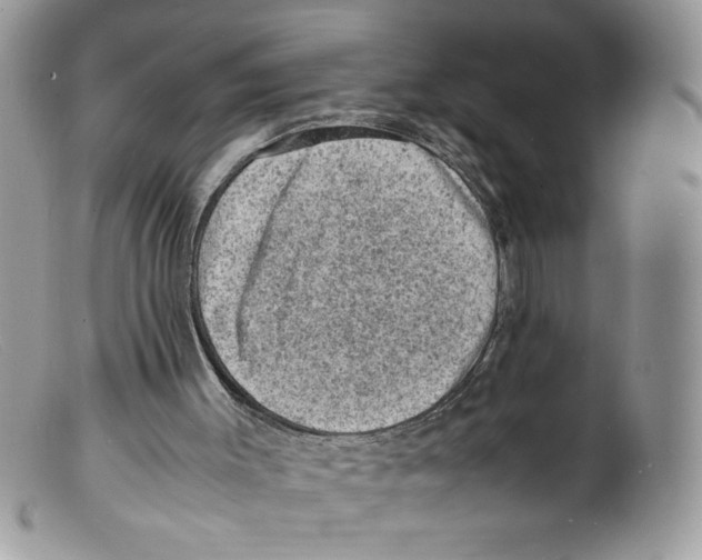 X0000098160003200805151240