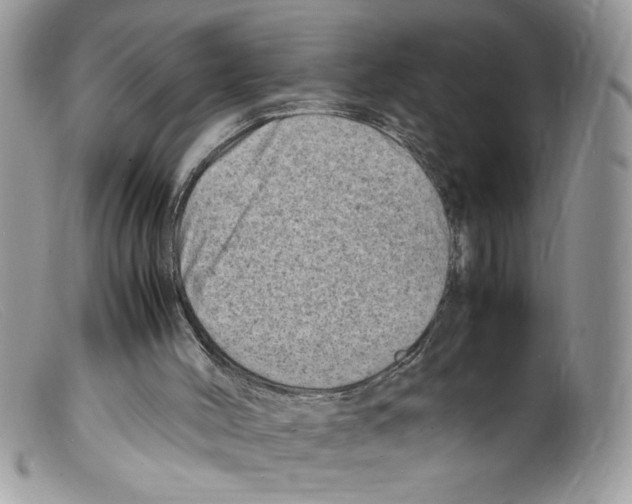 X0000098160004200805151240