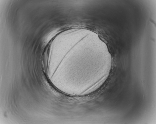 X0000098160005200805151240