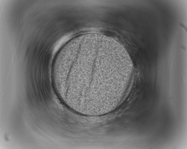X0000098160006200805151240