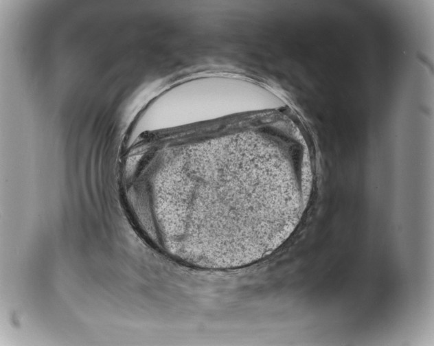 X0000098160007200805151240