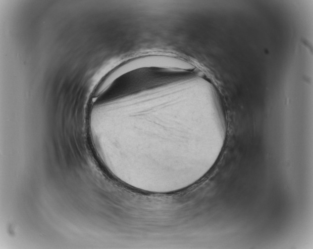 X0000098160008200805151240