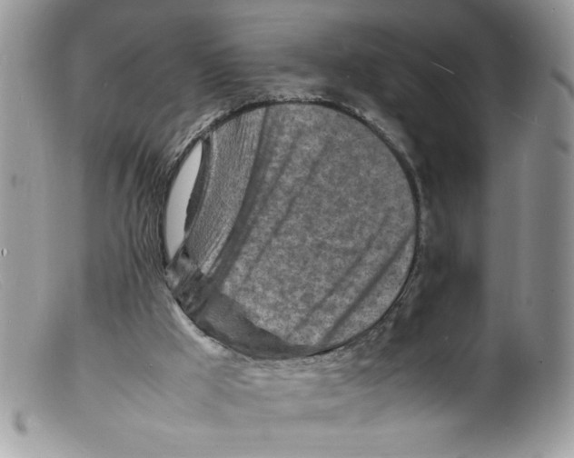 X0000098160009200805151240