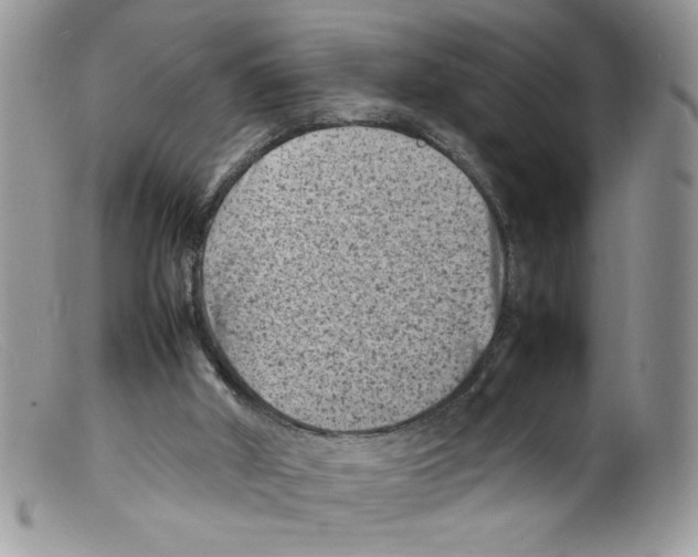 X0000098160010200805151240