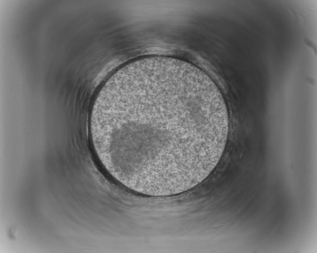 X0000098160011200805151240