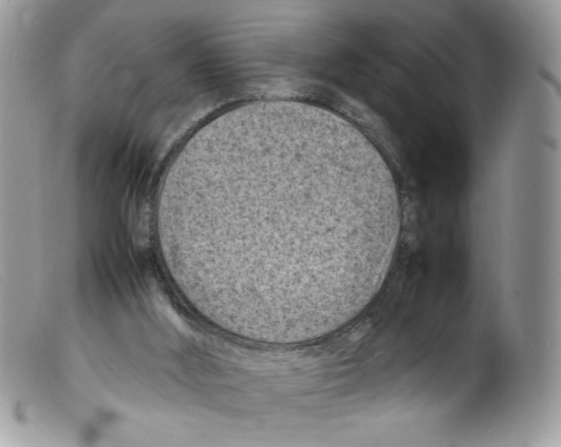 X0000098160012200805151240