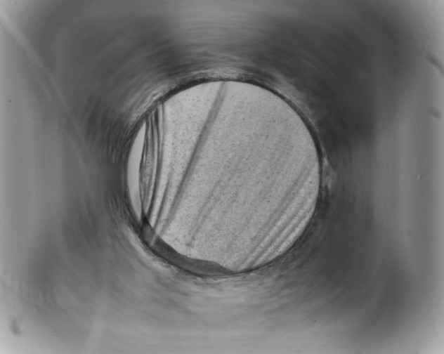 X0000098160013200805151240