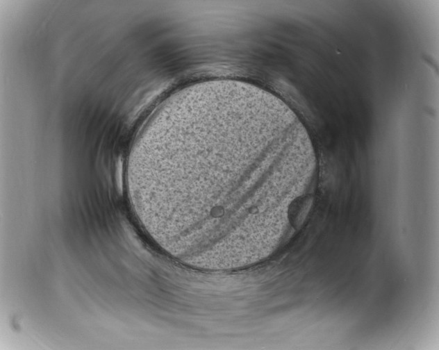 X0000098160014200805151240