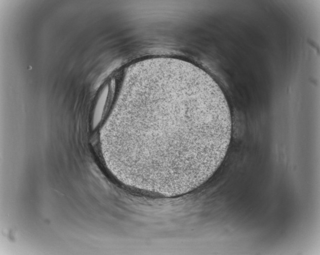 X0000098160015200805151240