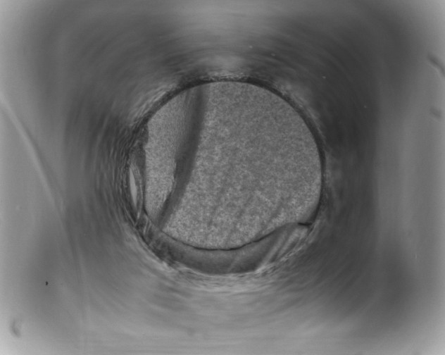 X0000098160017200805151240