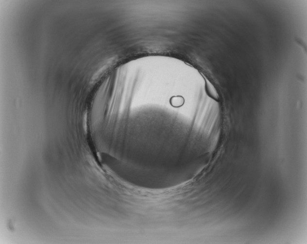 X0000098160019200805151240