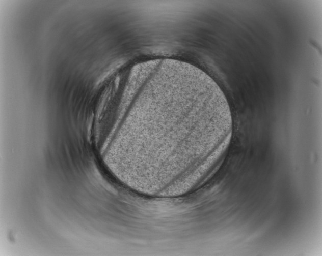 X0000098160020200805151240