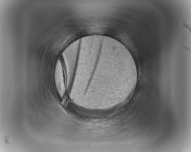 X0000098160021200805151240