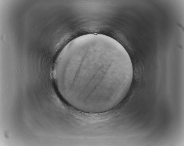X0000098160023200805151240
