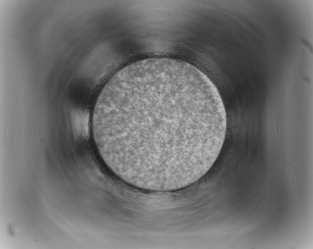 X0000098160024200805151240