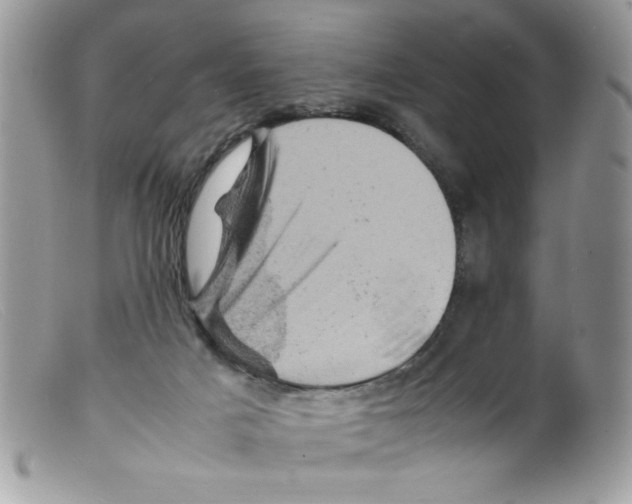 X0000098160025200805151240