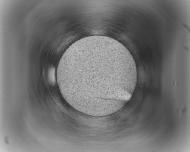 X0000098160028200805151240