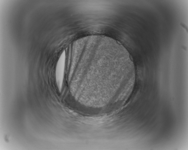 X0000098160029200805151239