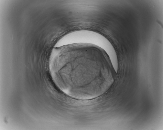 X0000098160031200805151239