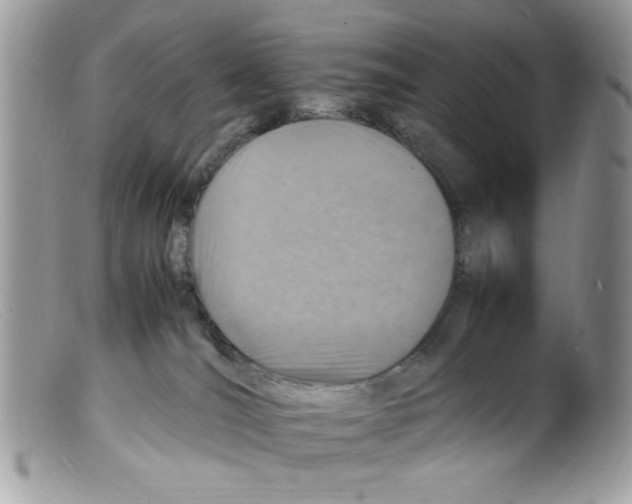 X0000098160036200805151239
