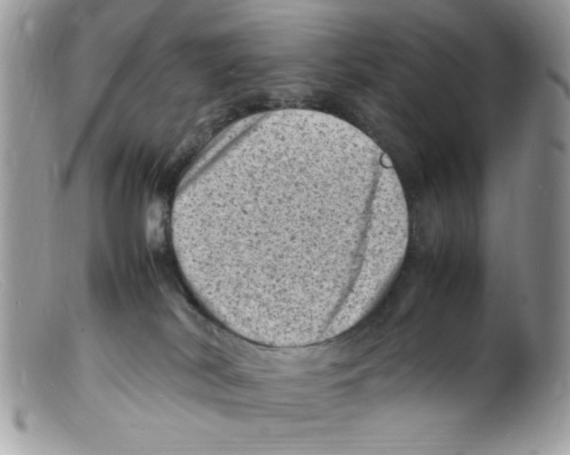 X0000098160038200805151239