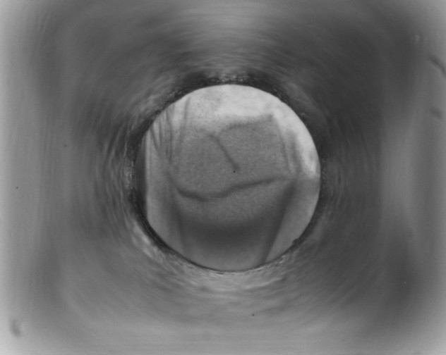 X0000098160039200805151239