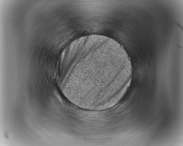 X0000098160040200805151239