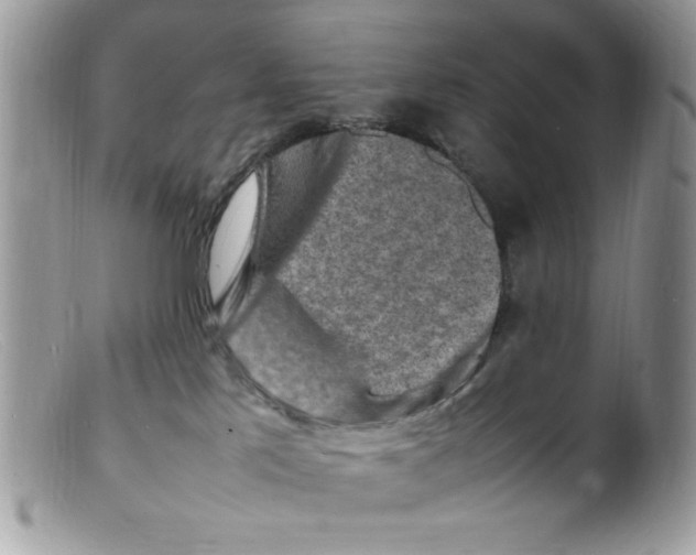 X0000098160041200805151239