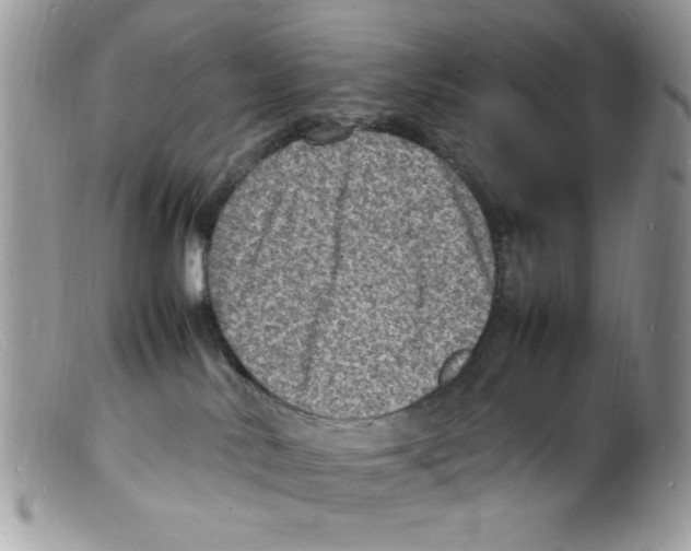 X0000098160042200805151239