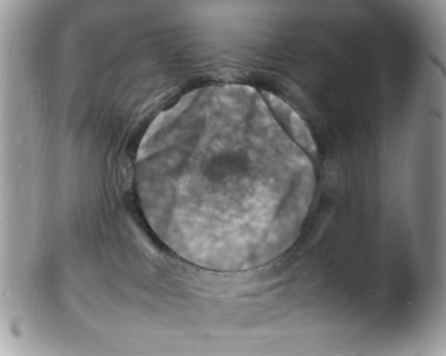 X0000098160043200805151239
