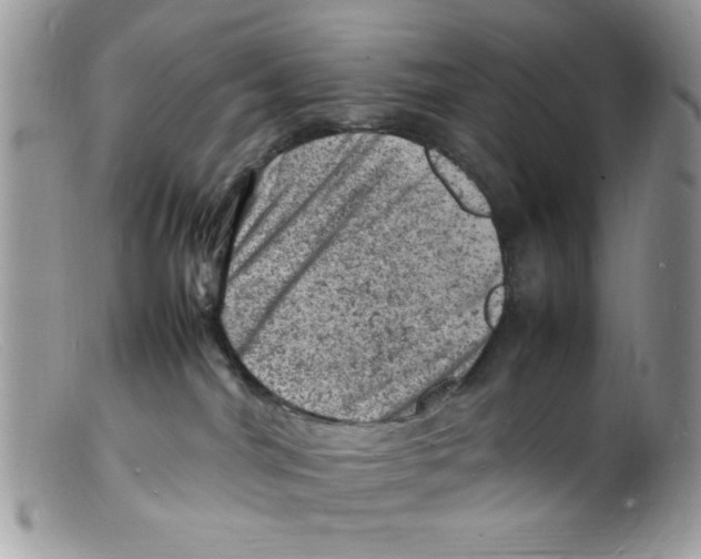 X0000098160044200805151239