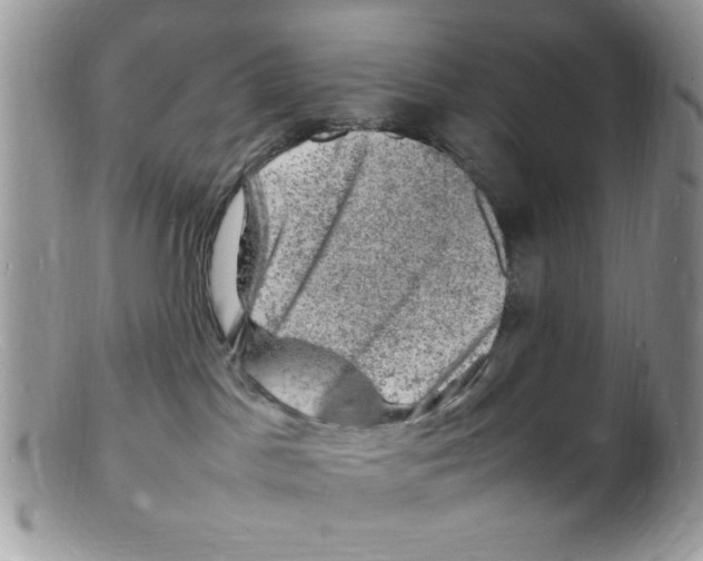 X0000098160045200805151239
