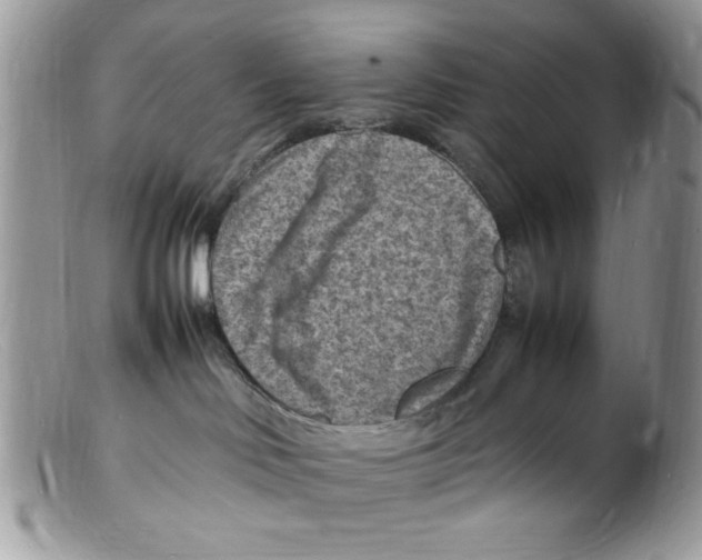 X0000098160046200805151239