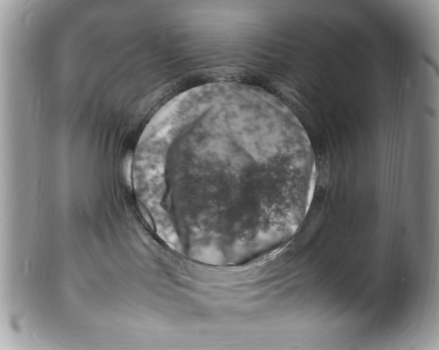 X0000098160047200805151239