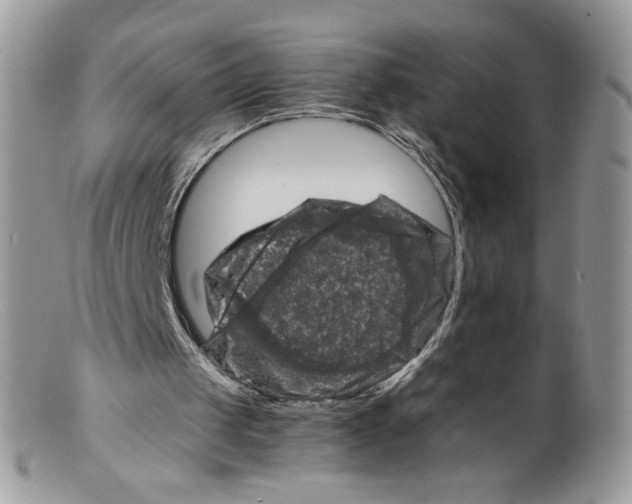 X0000098160049200805151238