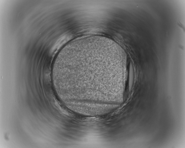 X0000098160050200805151238
